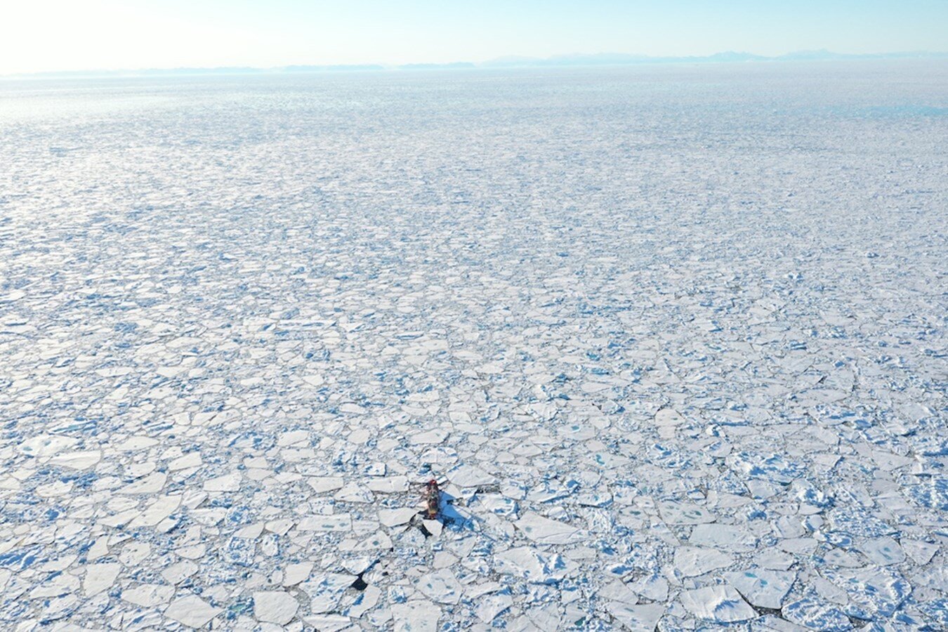 1971 SVENDBORG SKIBSVAERFT 224' 9