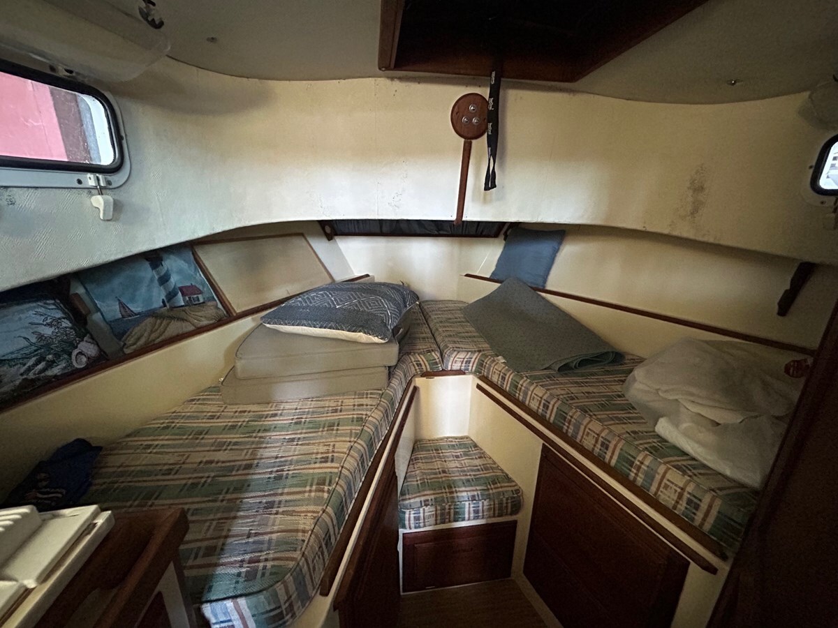 1974-willard-30-ba4482