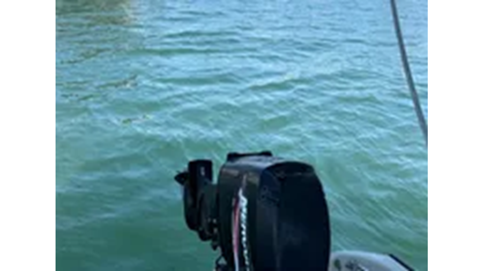 1984-burger-86-c44df0