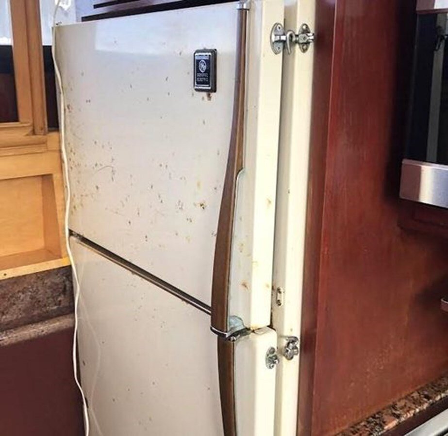 1985-bluewater-yachting-46-a75255