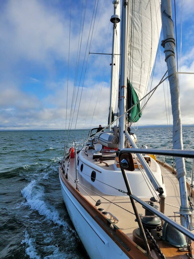 1988-shannon-43-11-67a931