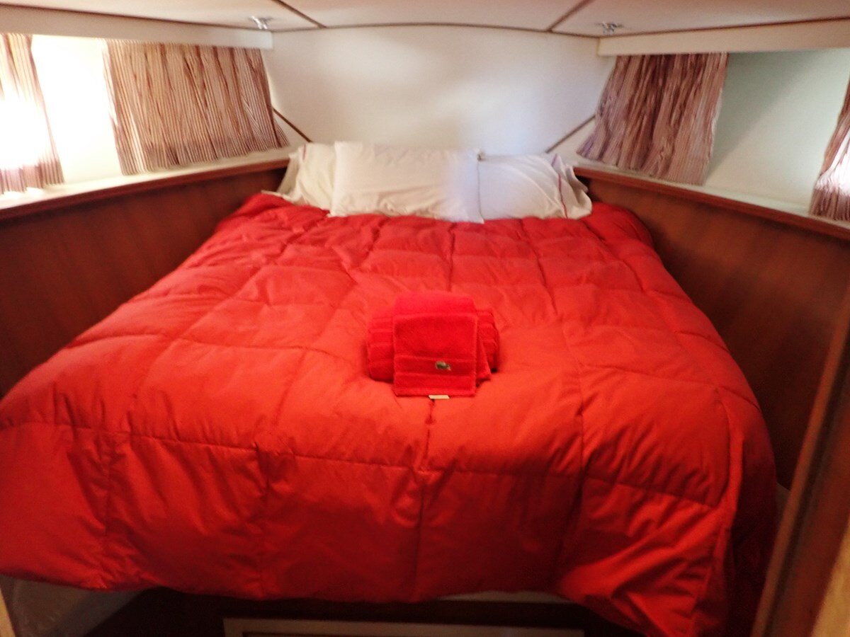 1989-hi-star-55-1-550579