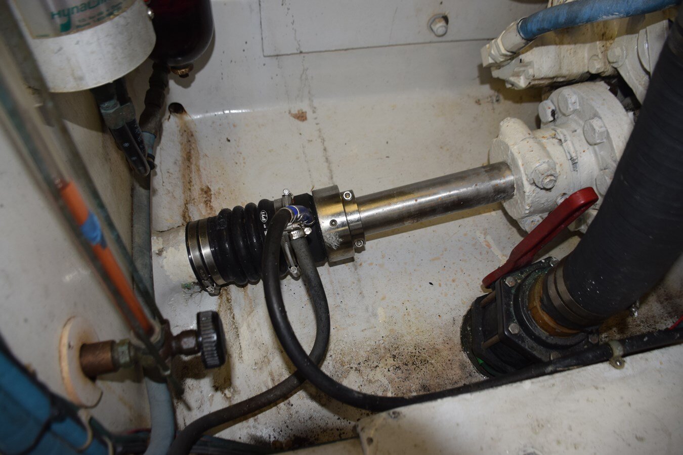 1989-sunny-briggs-50-4c0a45