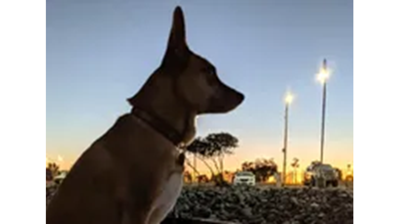 1990-kha-shing-58-e35507