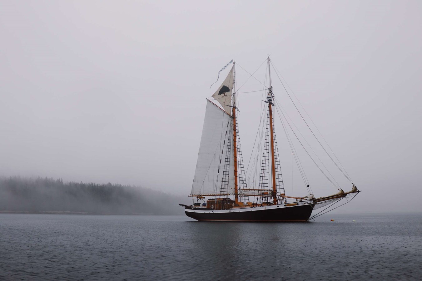 1991 COVEY ISLAND BOAT WORKS 91'