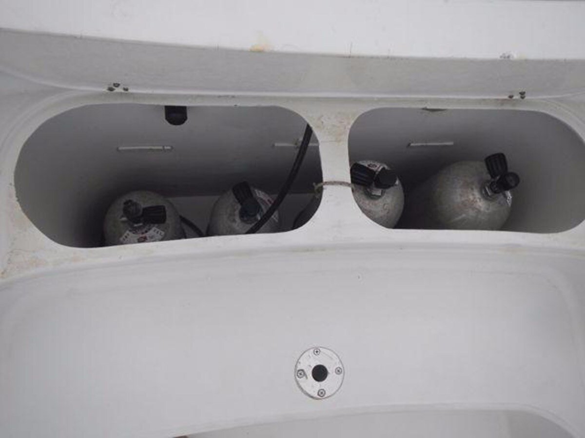 1994-privilege-65-79625a