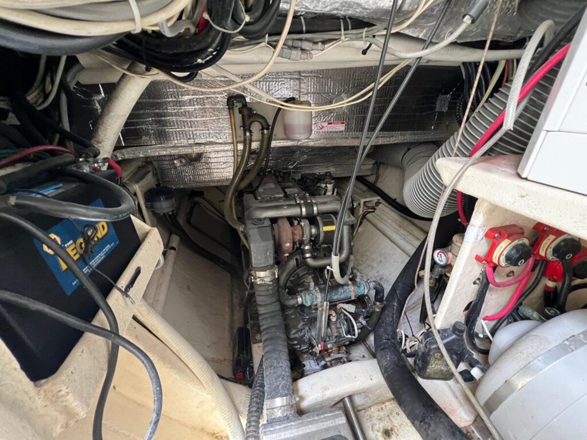 1994-privilege-65-79625a