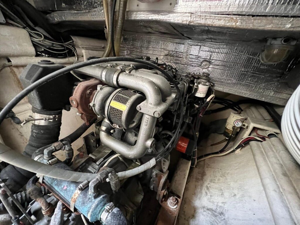 1994-privilege-65-79625a