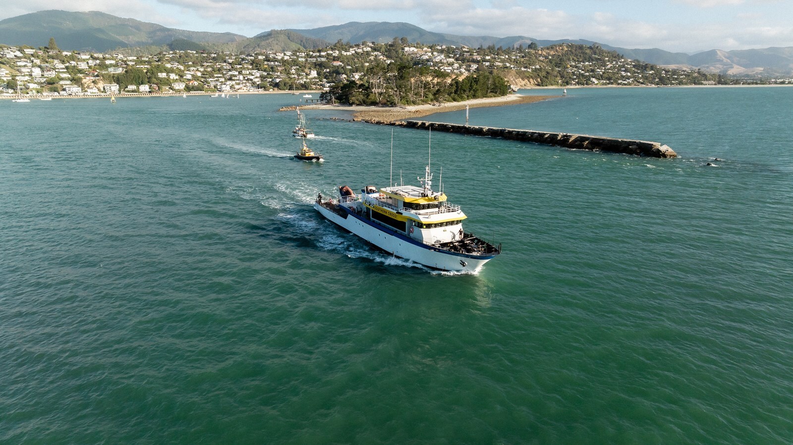 1995-niigata-147-8-14f299