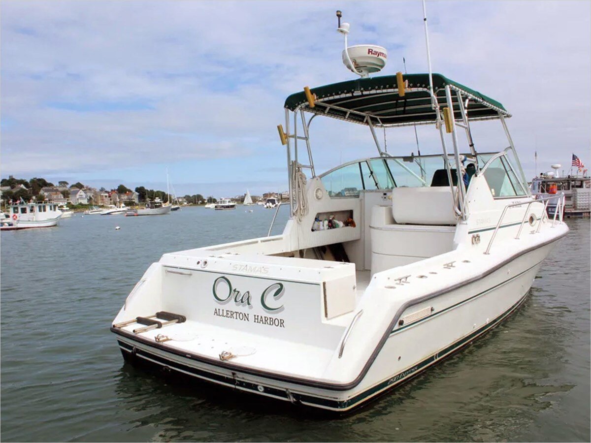 1997-stamas-29-1-653aa8