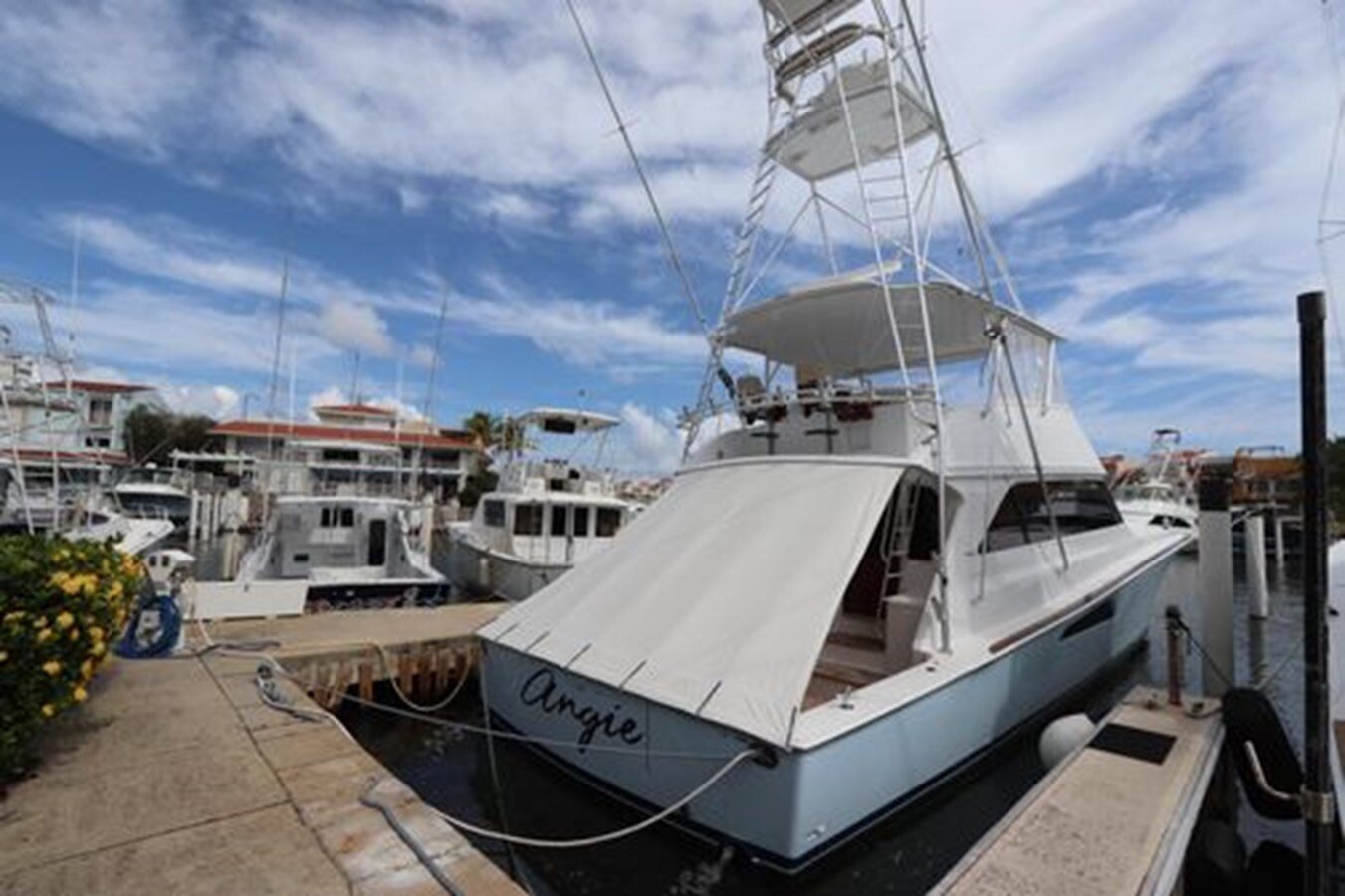 2000-viking-65-a83352