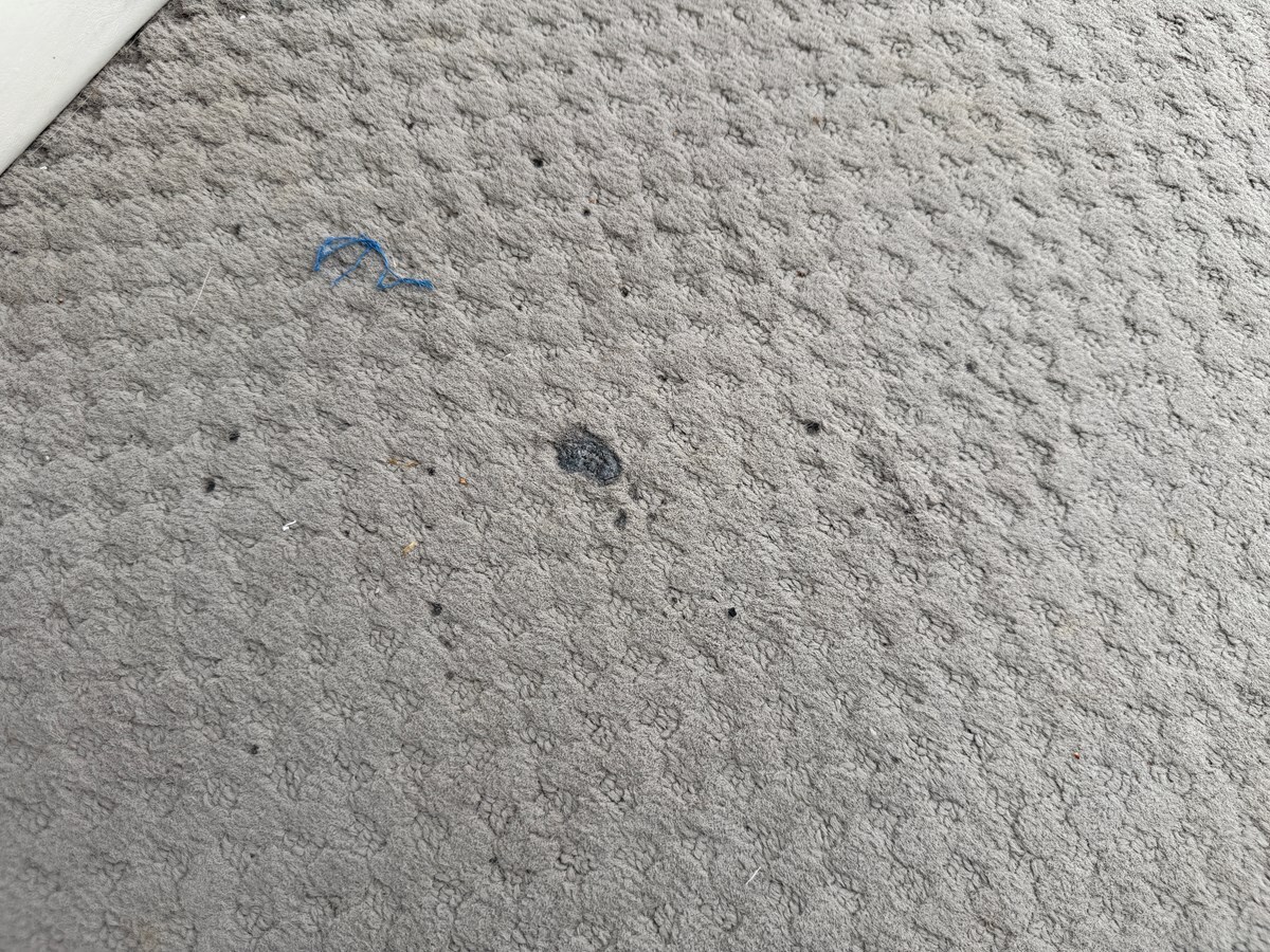 2001-bennington-27-40bd6c