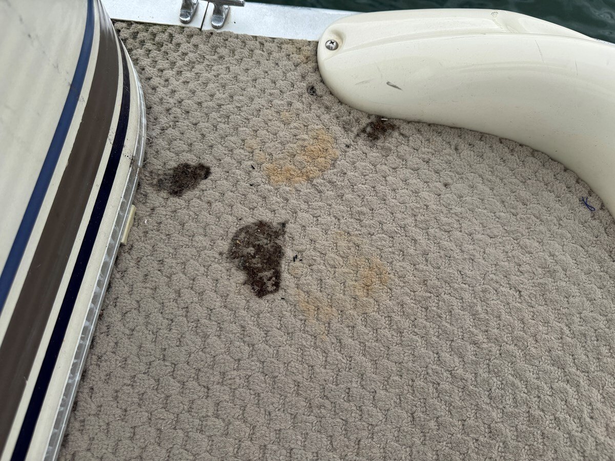 2001-bennington-27-40bd6c