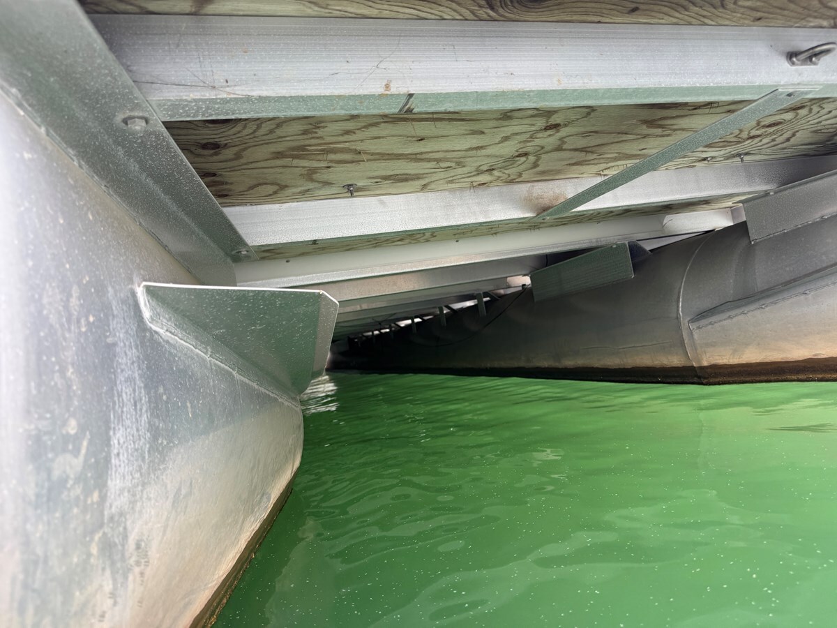 2001-bennington-27-40bd6c