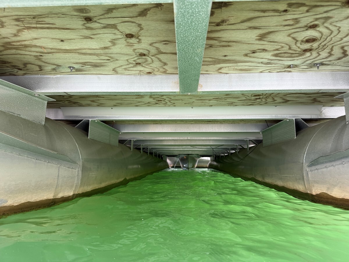 2001-bennington-27-40bd6c