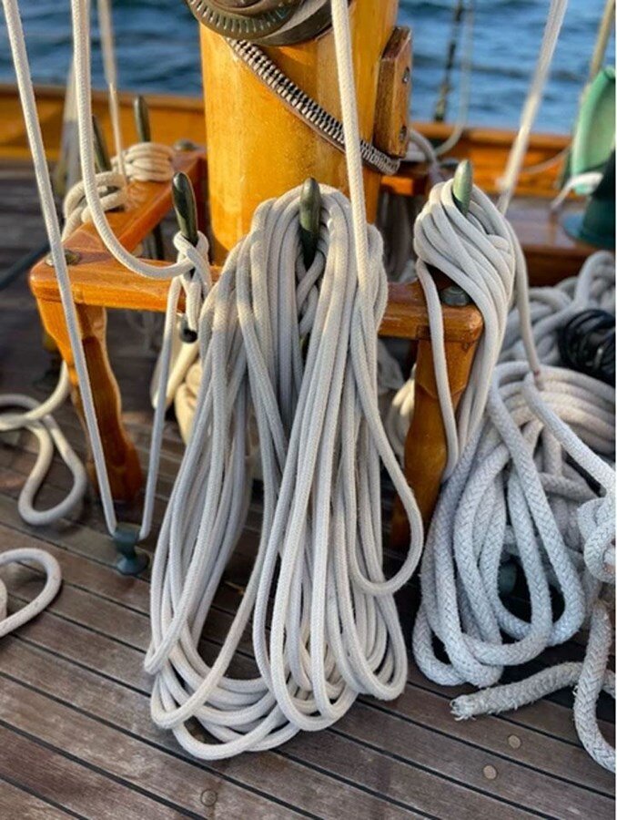 2001-gannon-benjamin-75-6-831a74