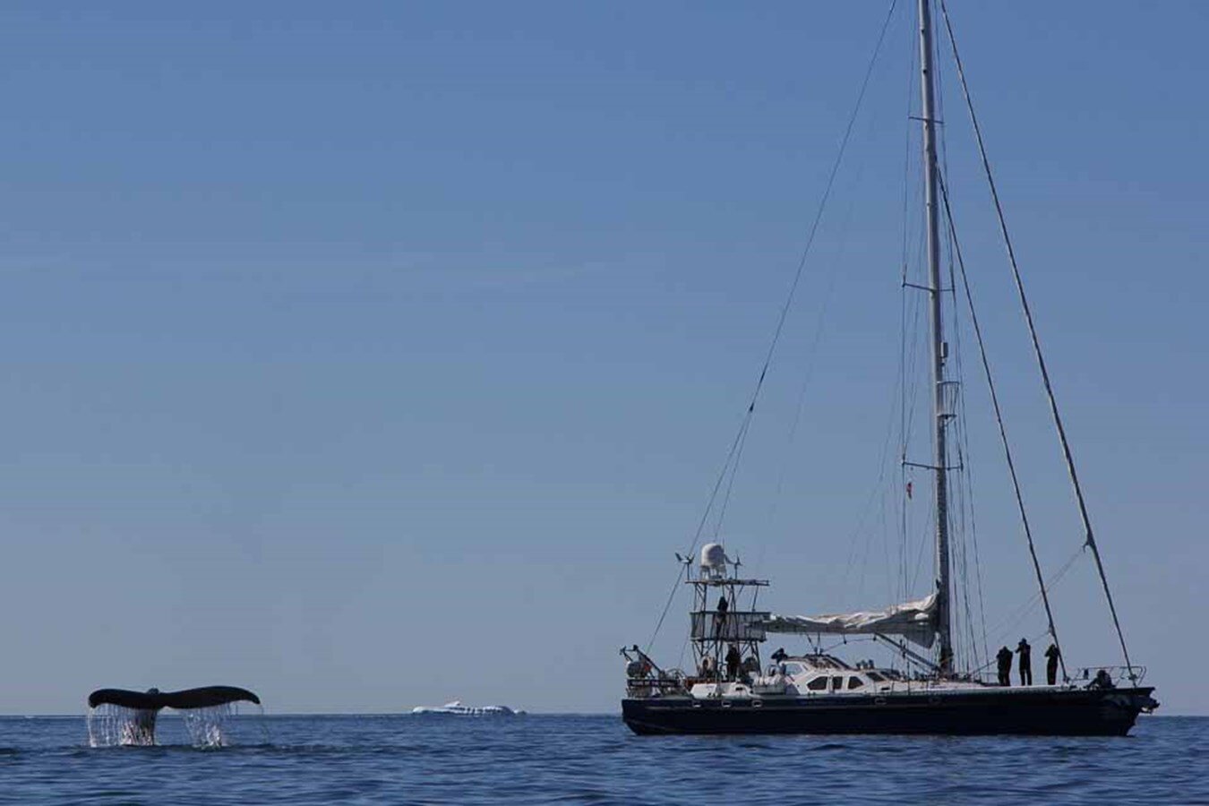 2004-blondecell-freeward-marine-70-8-93ed6c