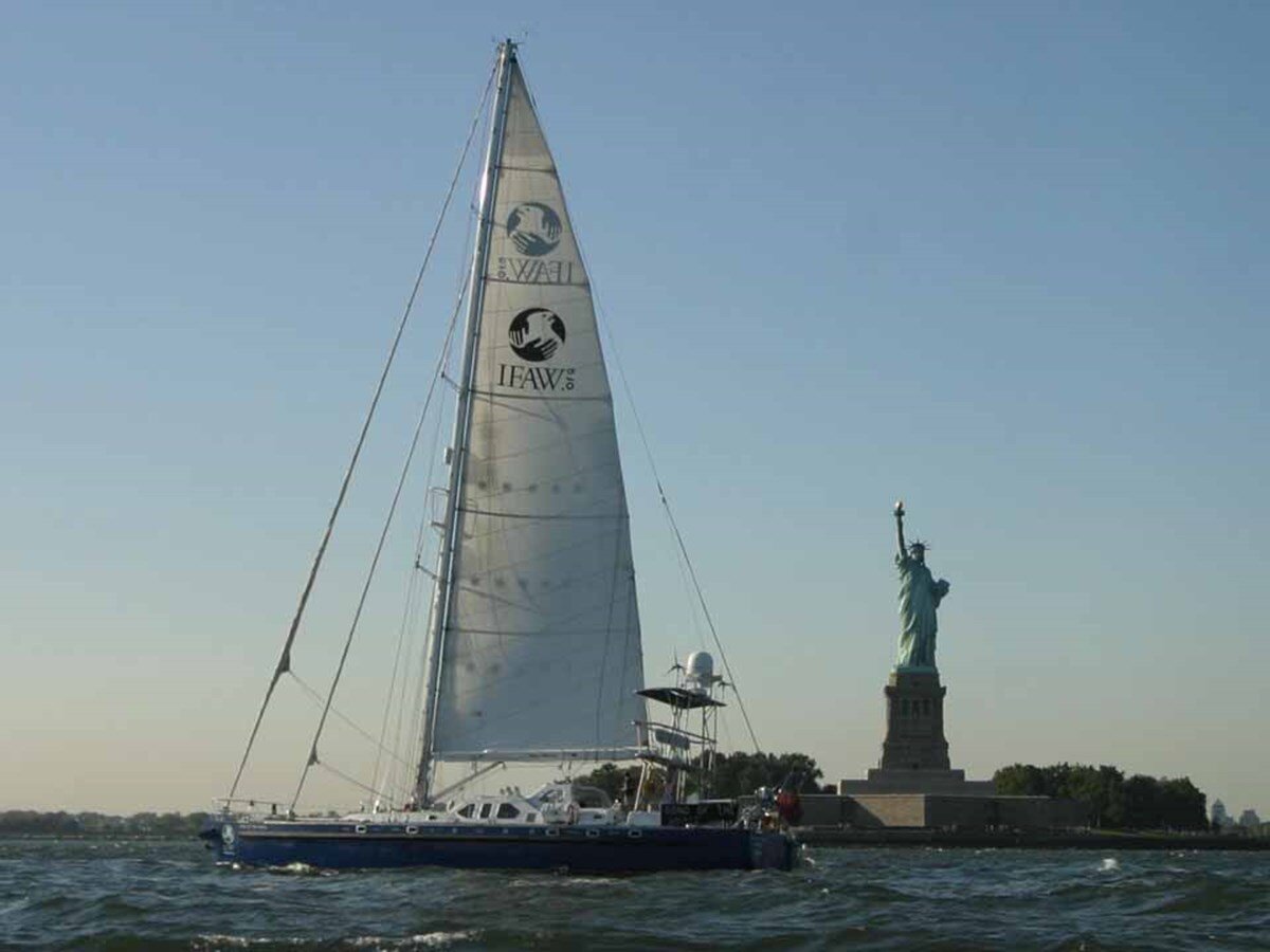 2004-blondecell-freeward-marine-70-8-93ed6c