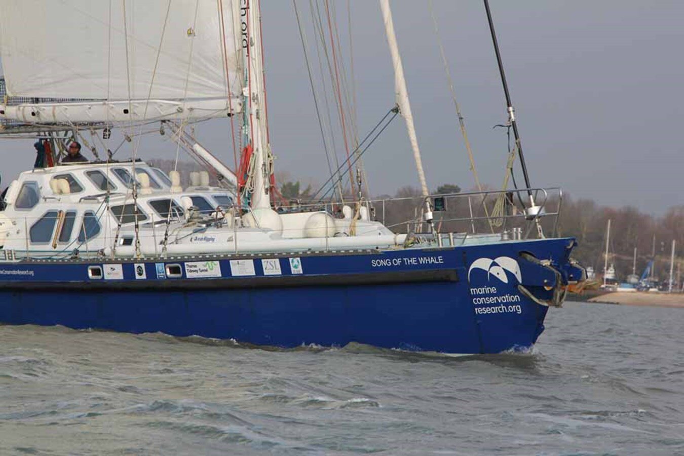 2004-blondecell-freeward-marine-70-8-93ed6c