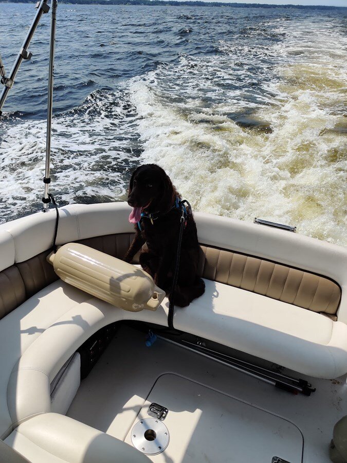 2004-four-winns-28-ffc465