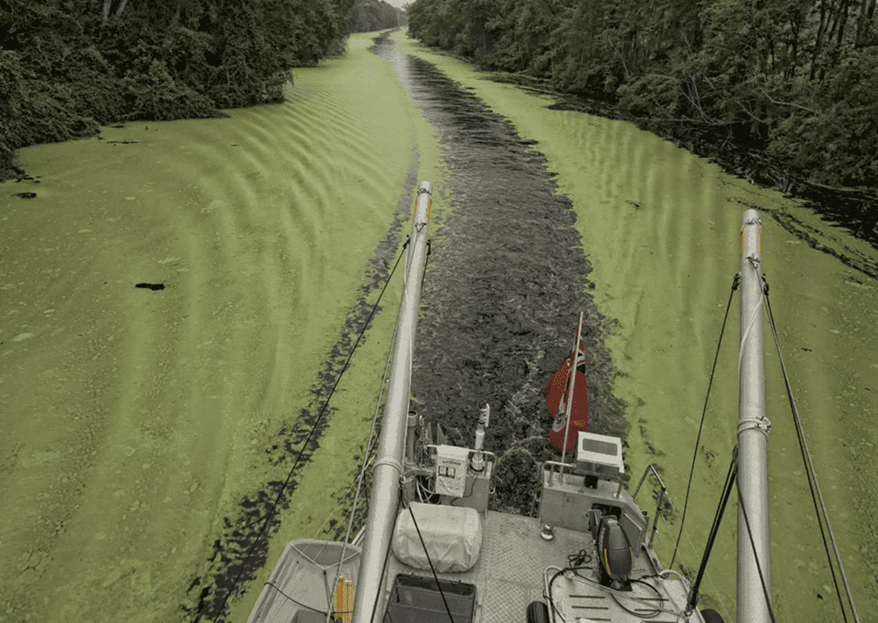 2005-kelly-archer-83-6-2773ff