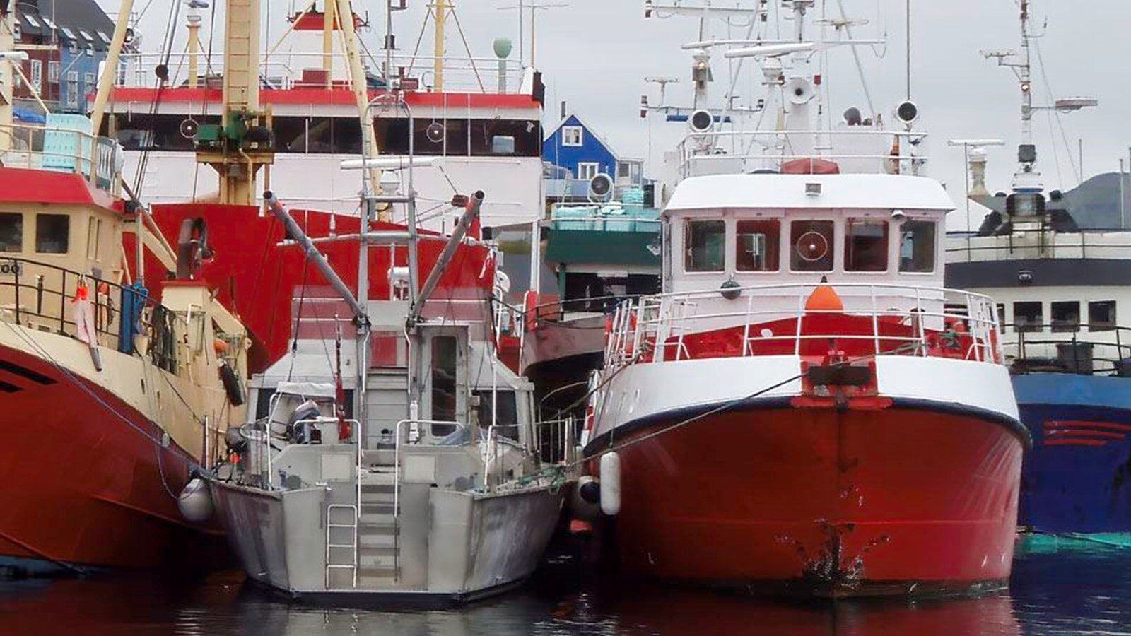 2005-kelly-archer-83-6-2773ff