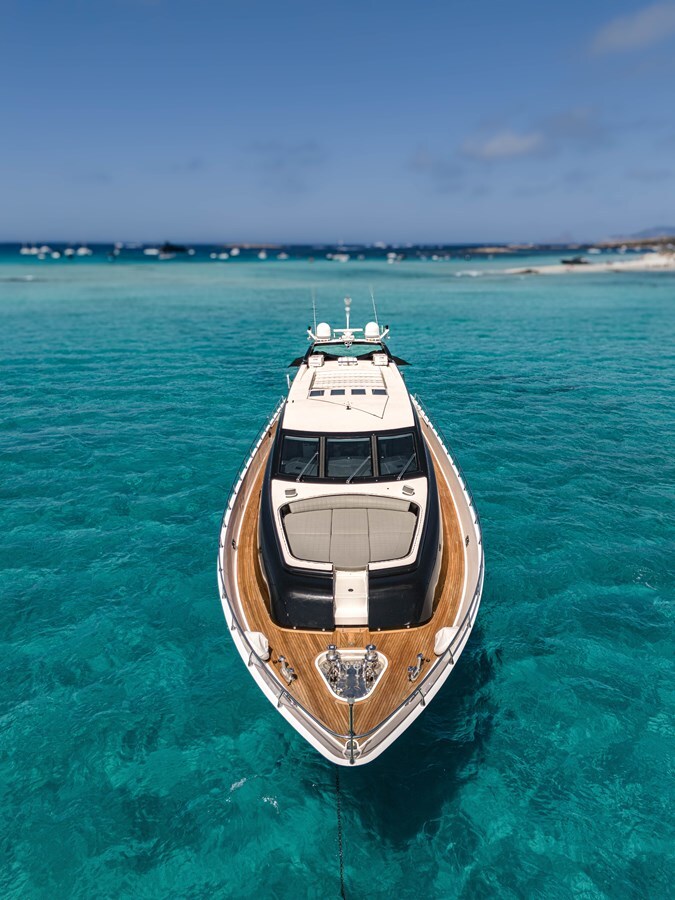 2006-arno-leopard-101-9-fd8f13