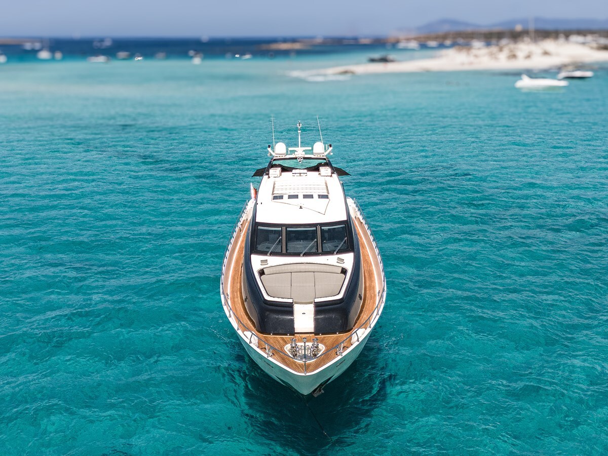 2006-arno-leopard-101-9-fd8f13