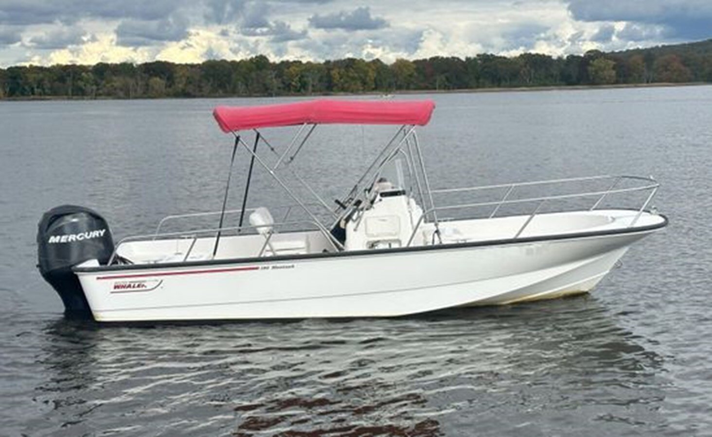 2007-boston-whaler-19-e30dab