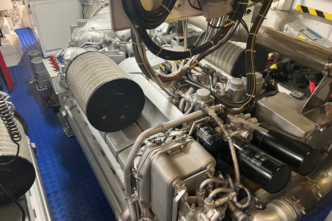 2008-arno-leopard-101-9-eda7ea