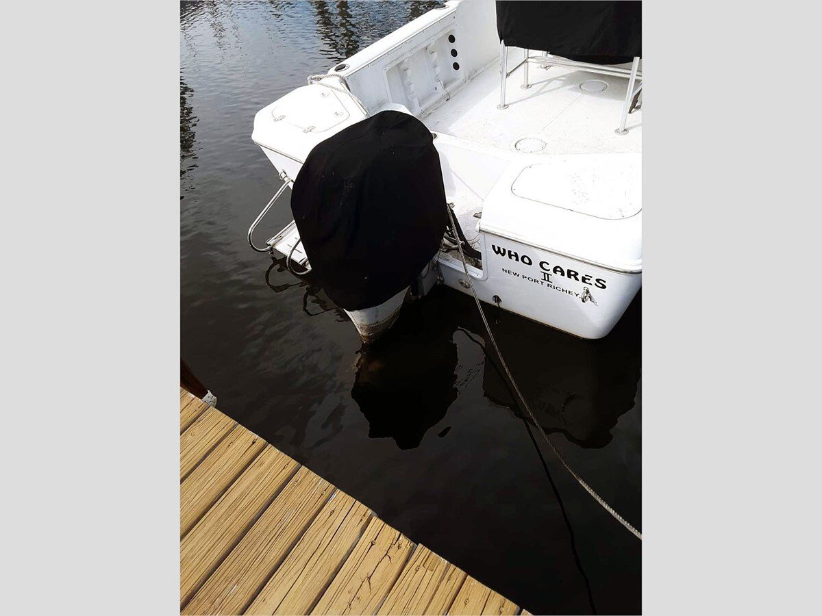 2008-pro-line-20-1-75dbc9