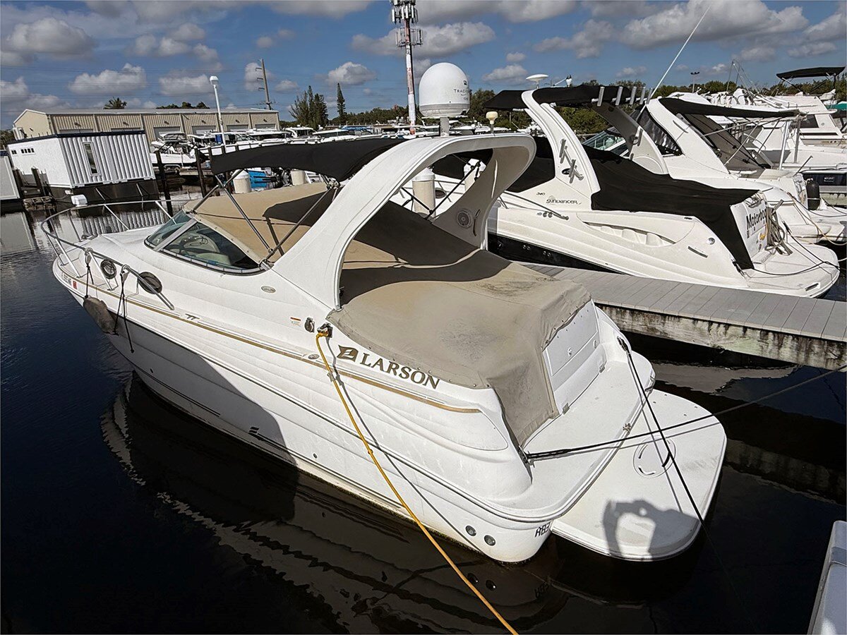 2009-larson-29-1-0b3efd