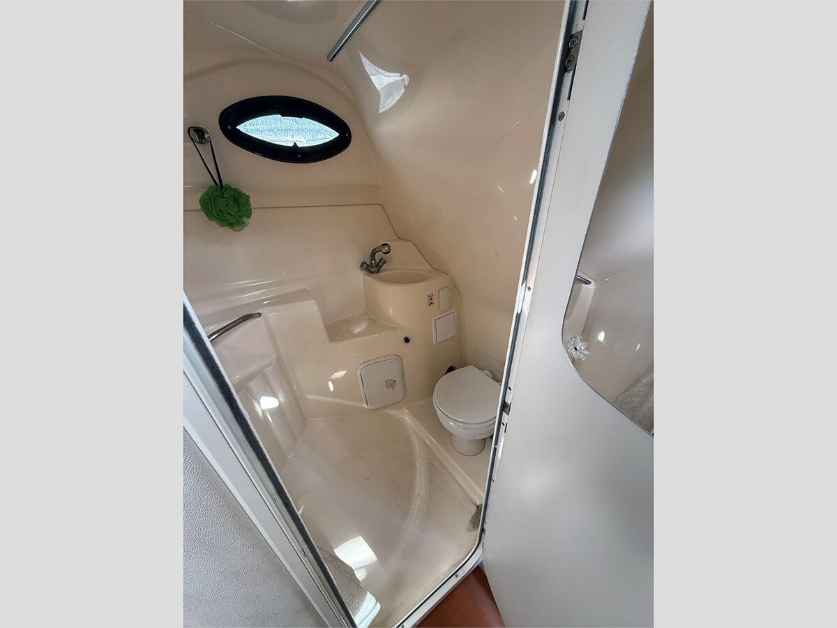 2009-larson-29-1-0b3efd