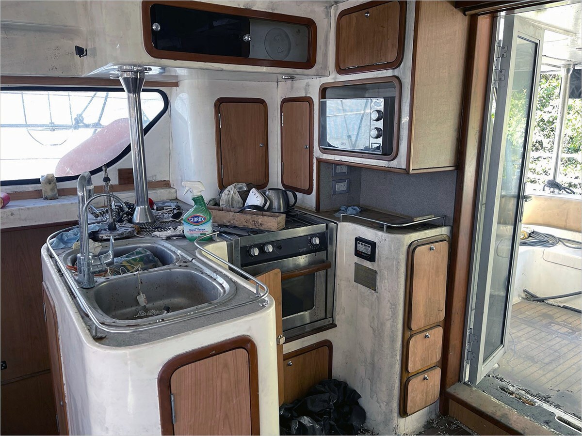 2010-africat-marine-45-1-407b4b