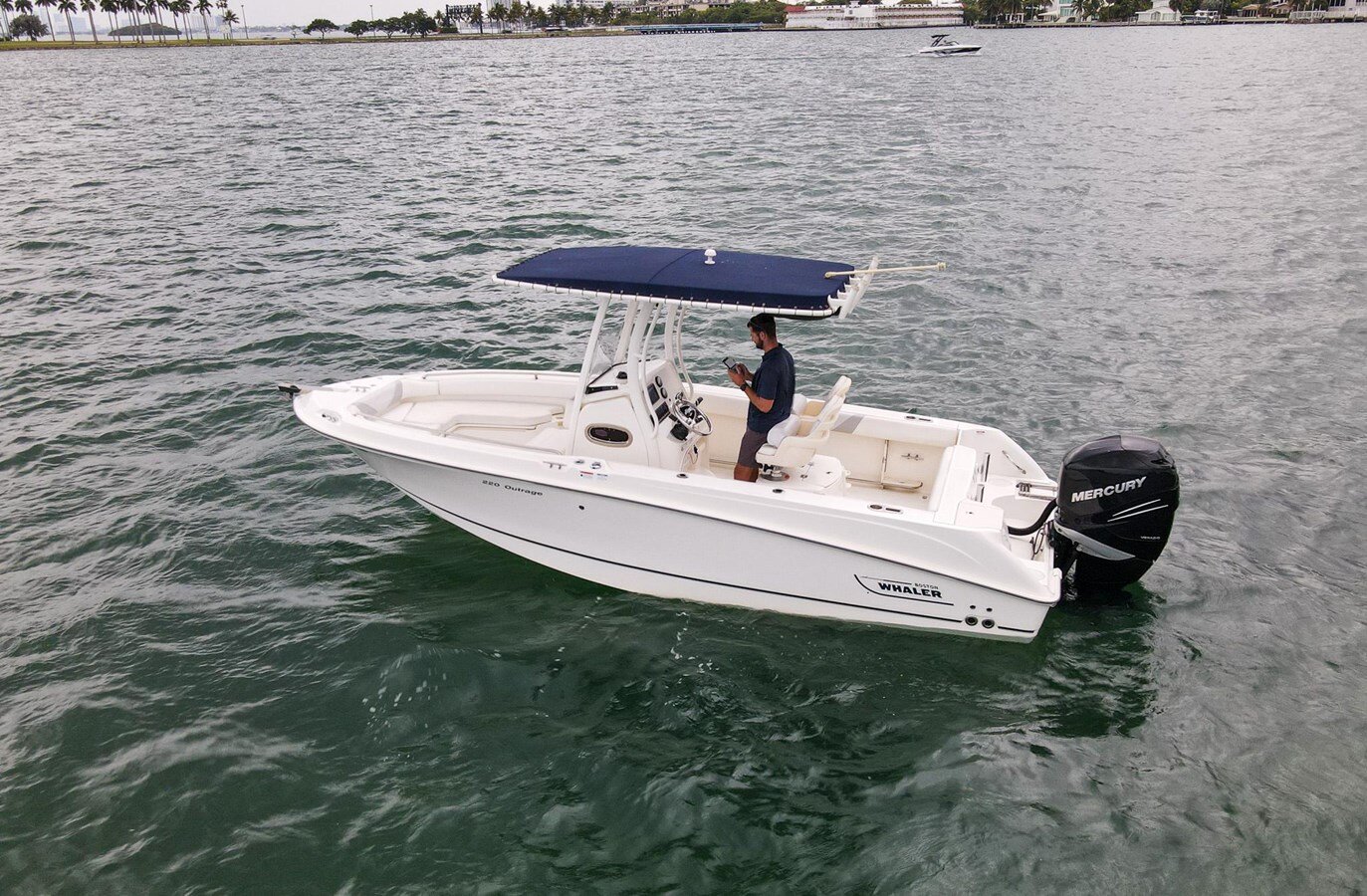 2015-boston-whaler-22-3-c46d80