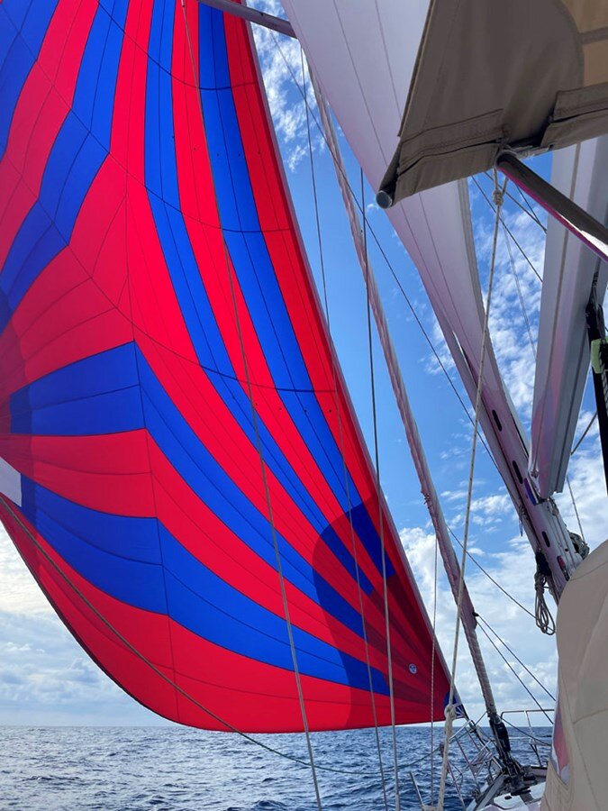 2015-discovery-58-8-af4934