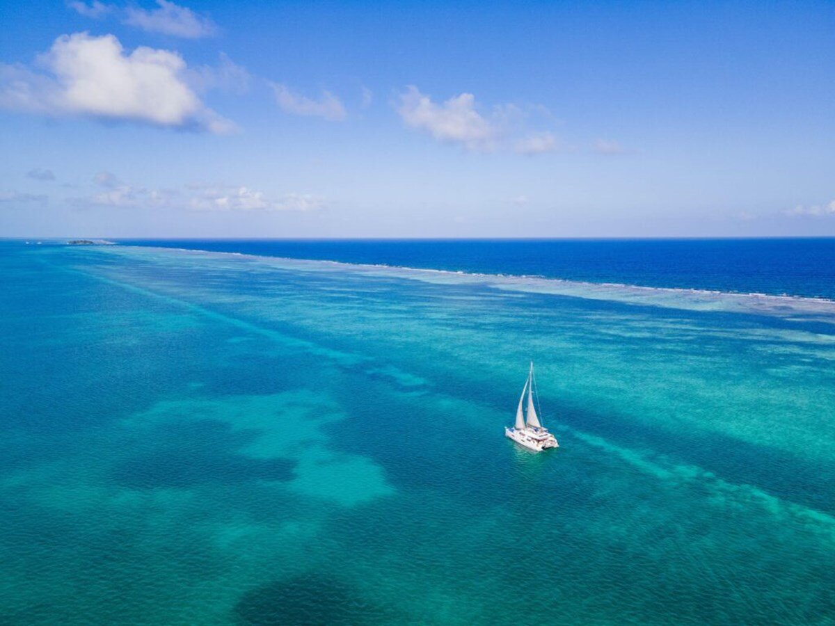 2015-leopard-48-ebf98d