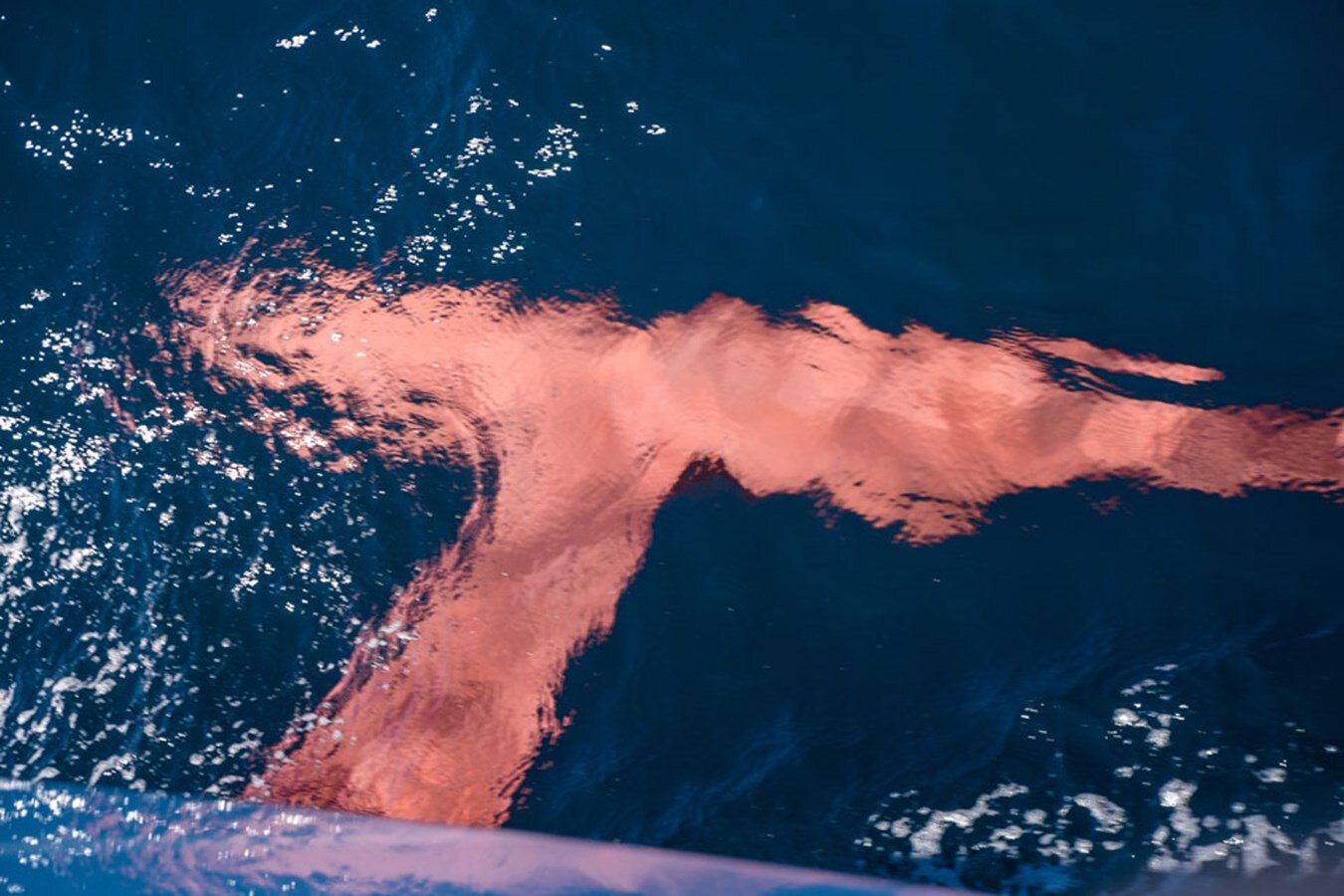 2015-persico-marine-66-11-cd9c2f