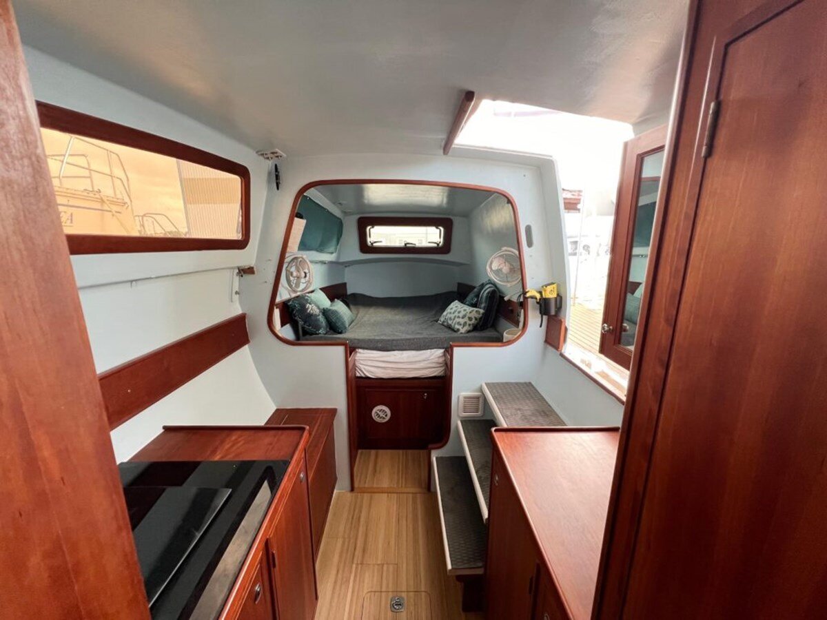 2016-maine-cat-38-0351f9