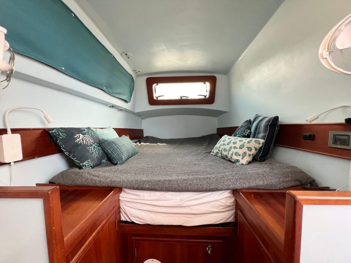 2016-maine-cat-38-0351f9