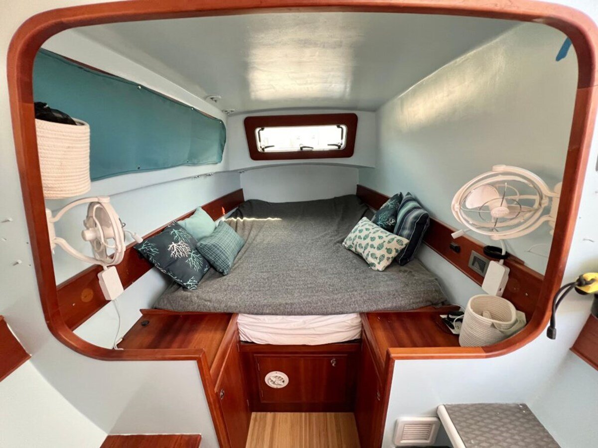 2016-maine-cat-38-0351f9