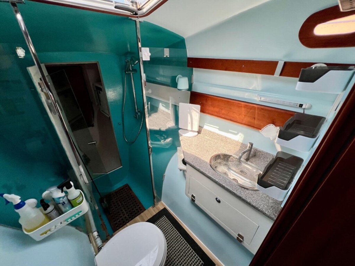 2016-maine-cat-38-0351f9