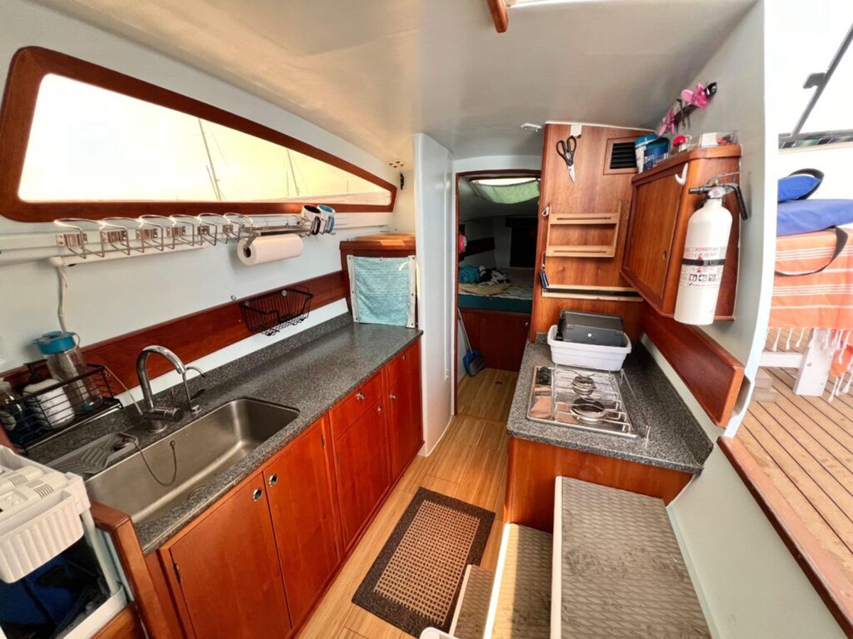 2016-maine-cat-38-0351f9