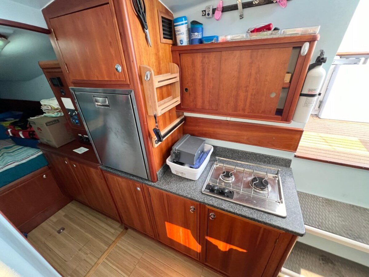 2016-maine-cat-38-0351f9