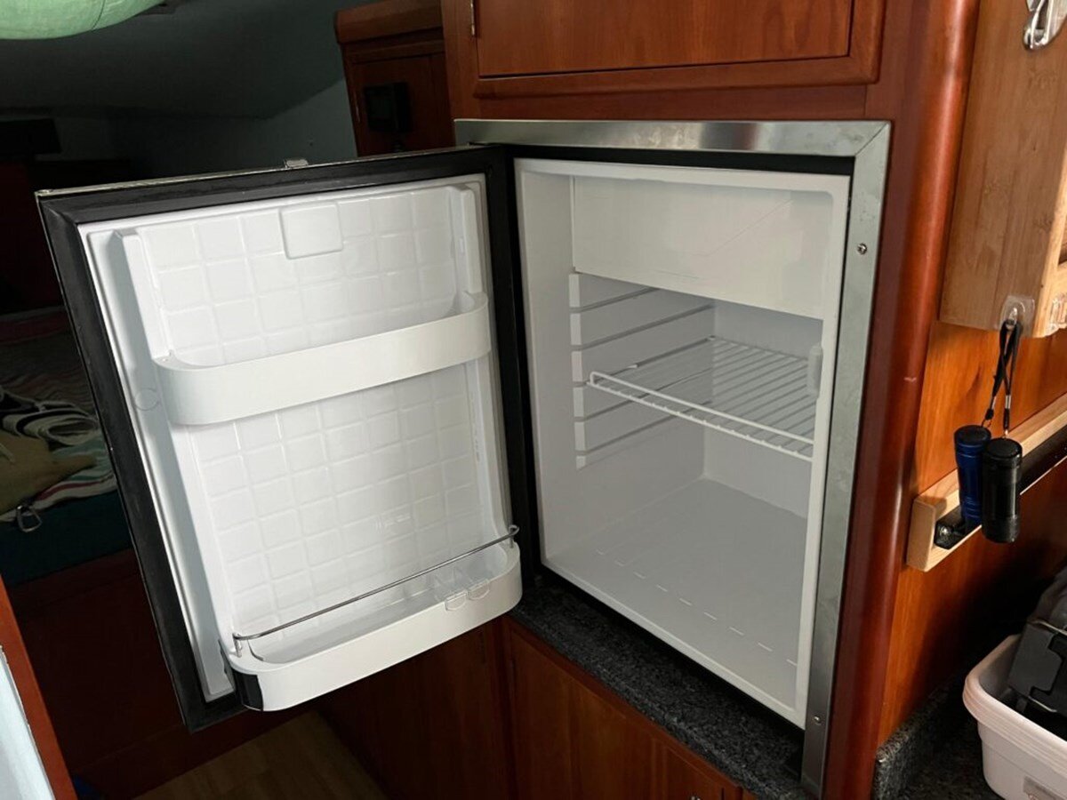 2016-maine-cat-38-0351f9