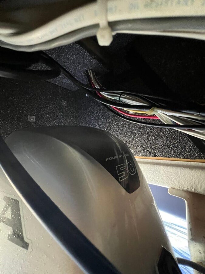 2016-maine-cat-38-0351f9