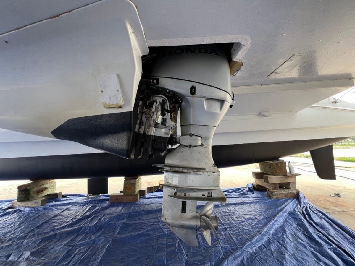 2016-maine-cat-38-0351f9