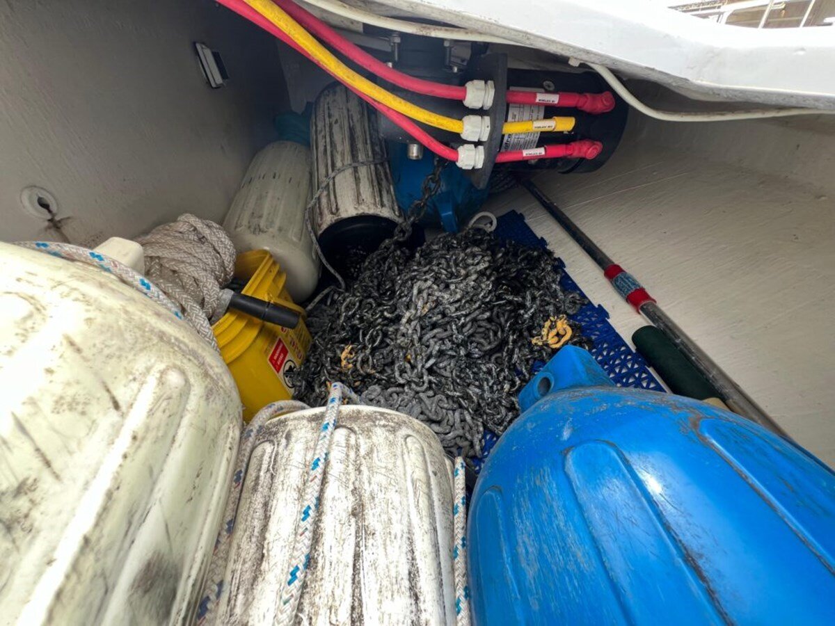 2016-maine-cat-38-0351f9