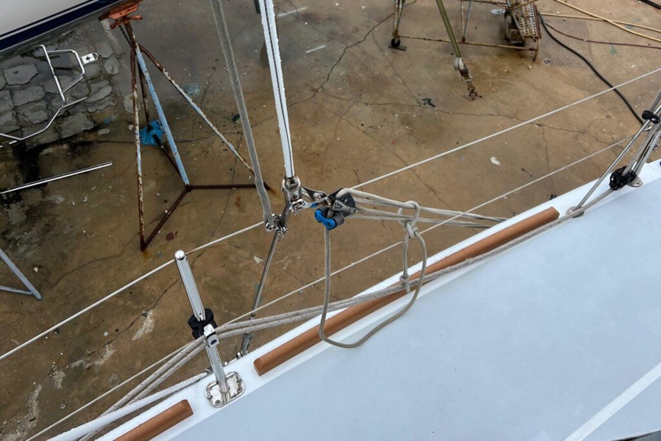 2016-maine-cat-38-0351f9