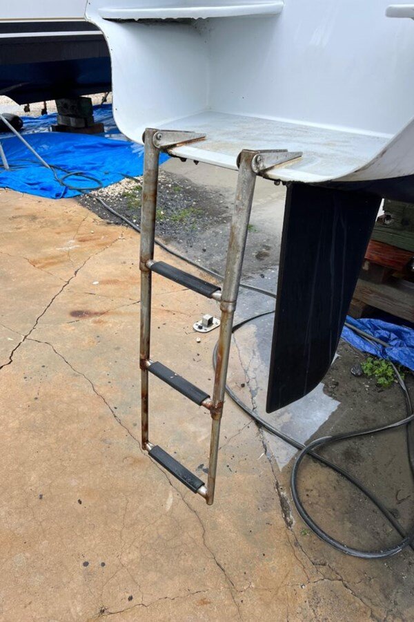 2016-maine-cat-38-0351f9